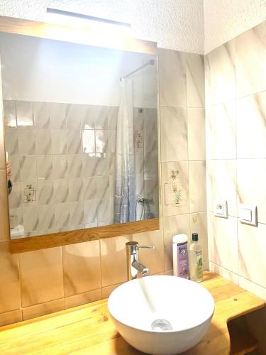 a bathroom with a white sink and a mirror at Studio des fleurs in Céret