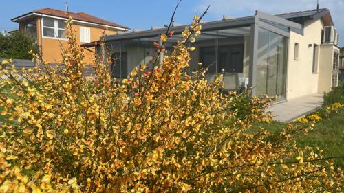 a house with a bush in front of it at Il Giardino di Sofia B&B in Piozzo