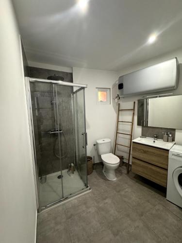 une salle de bain avec une douche, des toilettes et un lavabo dans l'établissement Charmant appartement, à Bastia