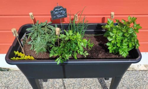 une jardinière noire avec des plantes à l'intérieur à côté d'un mur dans l'établissement Maison tout confort, à Saint-Romain-de-Colbosc