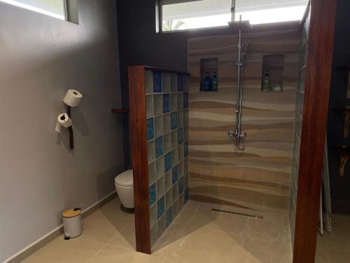a shower with a glass door in a bathroom at Fare Raniarii in Tahu-Naoe