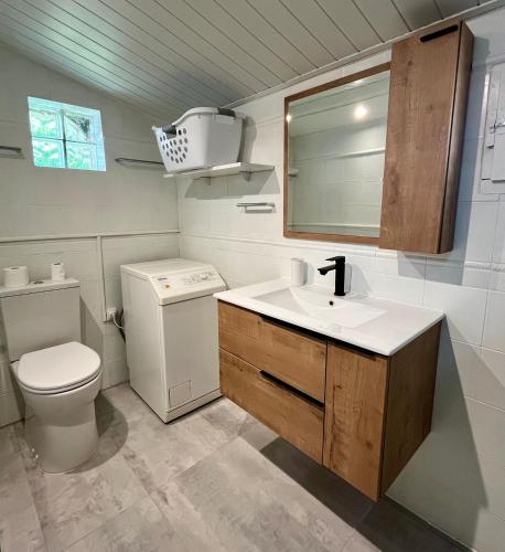 une salle de bain avec un lavabo, des toilettes et un miroir dans l'établissement Villa Madeleine, à Vallon-Pont-dʼArc
