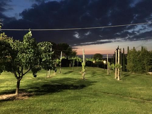 a row of trees in a field at night at La Corte D'Emilio B&B in Vignola