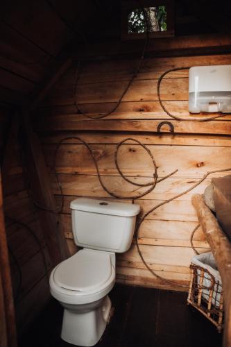 Un baño de Redwood Salento