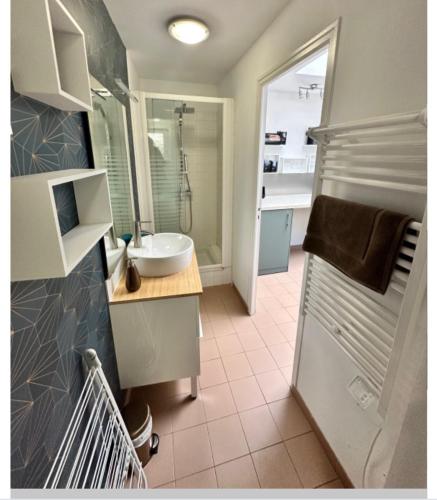 une salle de bain avec un lavabo et une douche dans l'établissement Adonis, à Paimpol