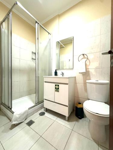 a bathroom with a shower and a toilet and a sink at Apartmento Centro Funchal in Funchal