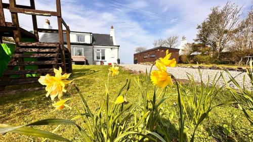 a group of yellow flowers in the grass in front of a house at Carnmhor, Isle of Skye - Stunning 242 year old cottage on its own sea shore! in Breakish
