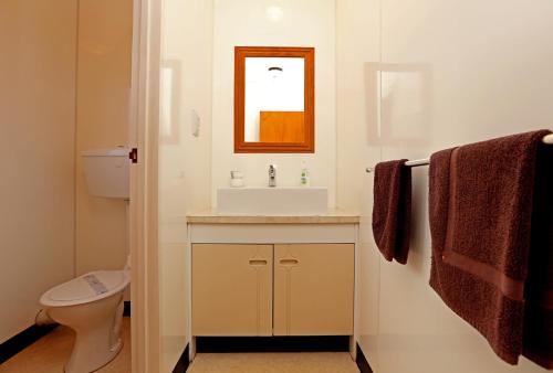 a bathroom with a sink and a toilet at Waiuku Lodge Motel in Waiuku