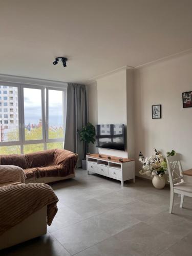 a living room with a couch and a tv at Cozy Feels, Central Vibes in Antwerp