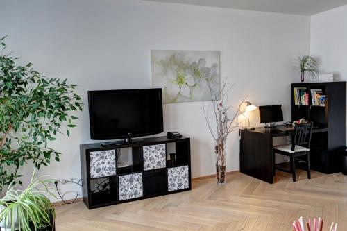 Μια τηλεόραση ή/και κέντρο ψυχαγωγίας στο Gasser Apartments - Apartments Karlskirche