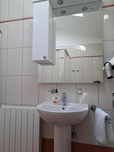 a bathroom with a white sink and a mirror at Apartment Oliva Volme in Banjole