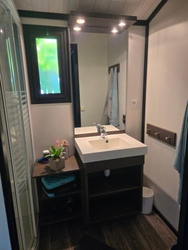 une salle de bain avec un lavabo et un miroir dans l'établissement Cottage varrois, à Solliès-Toucas