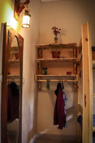 Litera o literas en una habitación de Tecoma Hostel