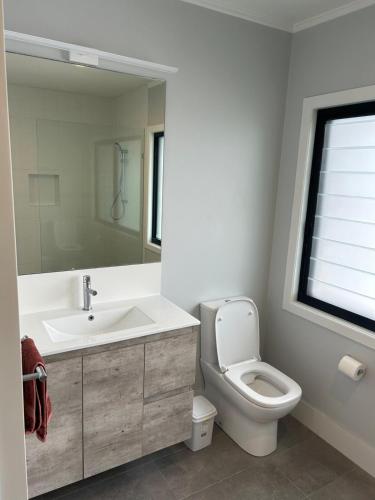 a bathroom with a sink and a toilet and a mirror at Hill top 2-bedroom home with charming view in Brisbane