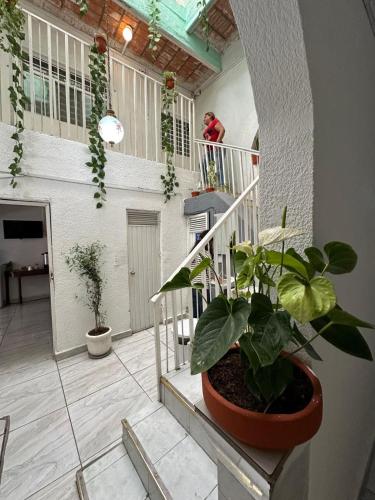 a woman standing on the balcony of a building with plants at Hotel Posada Jardín Aguascalientes in Aguascalientes