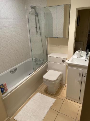 a bathroom with a shower and a toilet and a sink at Gatwick 1 Bedroom Apartment in Chipstead