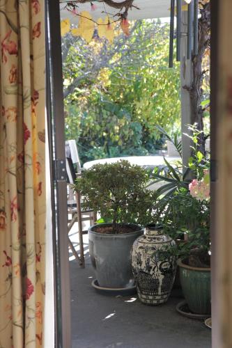 a porch with two large pots with plants in it at Magnolia House in Blenheim
