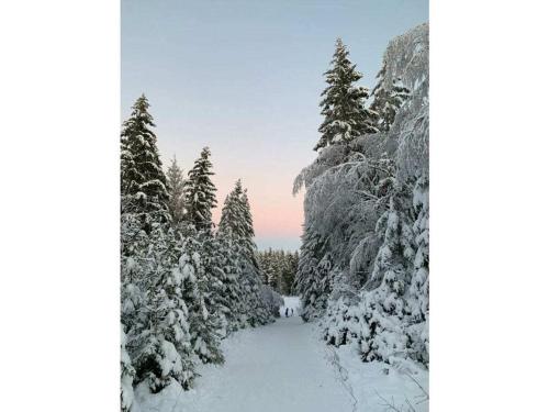 a snow covered path through a forest with snow covered trees at Holiday apartment with 2 bedrooms in Hasselfelde