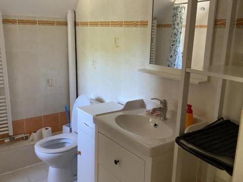 Ένα μπάνιο στο Gîte rural 3 niveaux avec jardin privé, à proximité des châteaux de la Loire - FR-1-381-169
