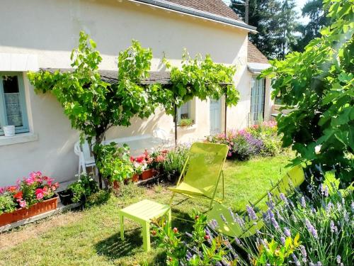 Location saisonnière: Gîte de charme avec jardin privé, proche des châteaux de la Loire et de la nature - FR-1-381-200