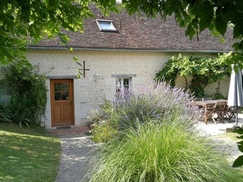 Gîte calme au cœur de vignoble bio avec piscine, proche Azay-le-Rideau - FR-1-381-238