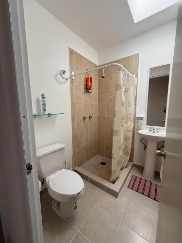 a bathroom with a shower and a toilet and a sink at Aldea Aqua - HiveNB in Tlayecac