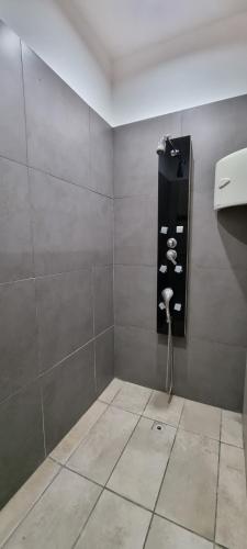 baño con ducha con manguera en Casa Chapanay, en Corralitos