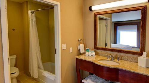 a bathroom with a sink and a toilet and a mirror at Holiday Inn Express & Suites Sioux City-South by IHG in Sioux City