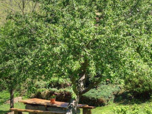 Κήπος έξω από το Gîte spacieux avec cheminée, proche forêt, VTT et randonnées, idéal pour familles et détente - FR-1-496-36