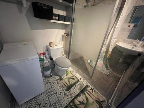 une salle de bain avec toilettes et lavabo dans l'établissement Studio Cabine au Cœur du Cap d'Agde - 4 Pers - FR-1-749-101, au Cap d'Agde