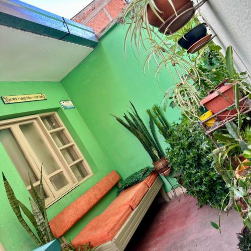 Zahrada ubytování Habitación céntrica con acceso a lindo jardín