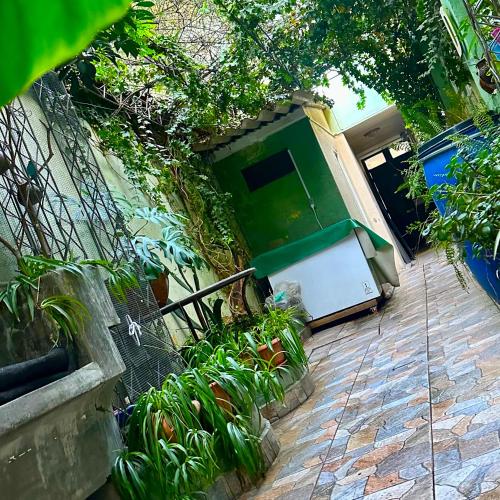 Zahrada ubytování Habitación céntrica con acceso a lindo jardín