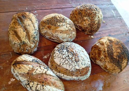 a group of loaves of bread on a wooden table at Busuanga Nature Retreat in Busuanga