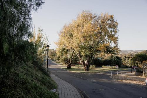 an empty street with trees on the side of the road at Richmond 1823 in Richmond