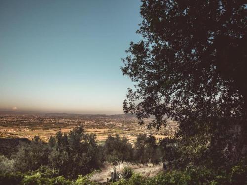 a view of a field from behind a tree at Peaceful Retreat with Pool in San Marcello Pistoiese
