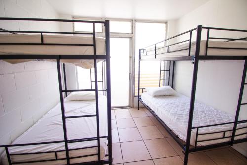 two bunk beds in a room with a window at Waikiki Beachside Hostel in Honolulu