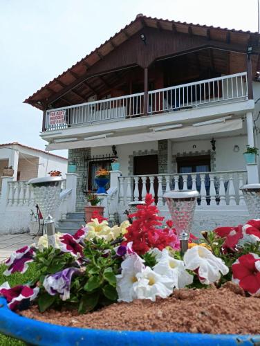 Dolphin Paradise Sozopoli