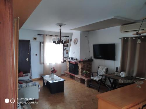 a living room with a fireplace and a tv at Dolphin Paradise Sozopoli in Sozopoli