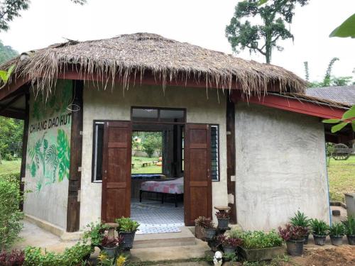 Zahrada ubytování Chiang Dao Hut