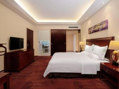 TV o dispositivi per l'intrattenimento presso Hongzhushan Hotel Mount Emei