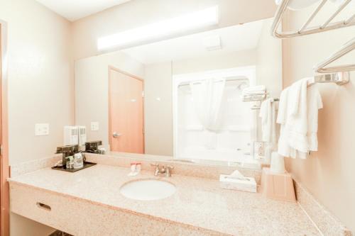 Bilik mandi di Texan Inn By OYO Beeville US-181