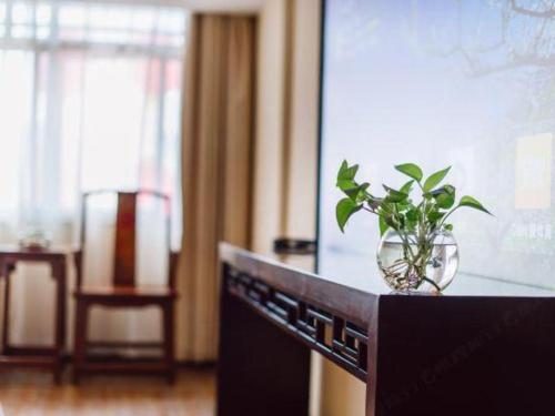 a plant in a vase sitting on top of a microwave at Oriental Hotel in Dongguan