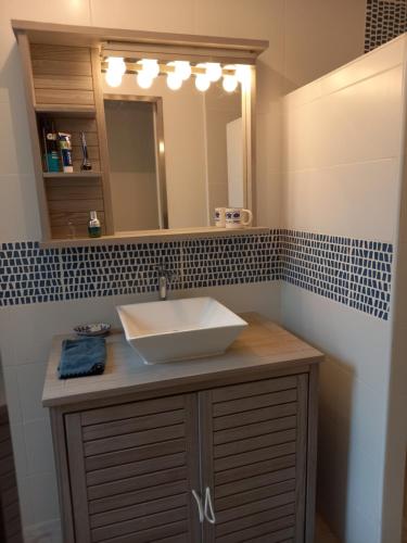 une salle de bain avec un lavabo et un miroir dans l'établissement Le nid, à Saintes