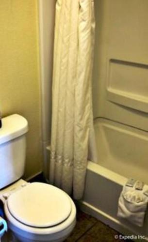 a bathroom with a toilet and a shower curtain at Lemon Heights Inn in Tustin