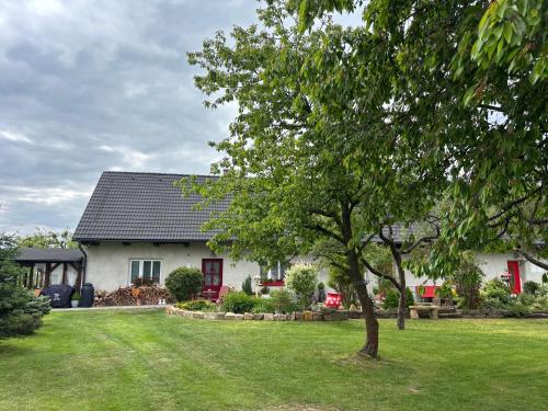 Apartmán U včelína