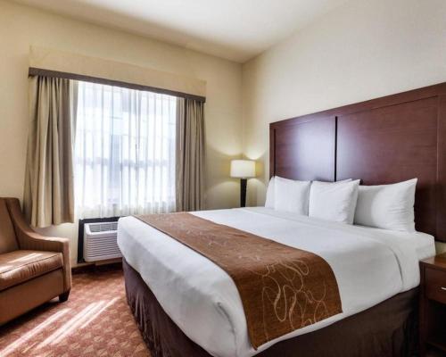 a hotel room with a large bed and a chair at Comfort Suites near NASA - Clear Lake in Webster