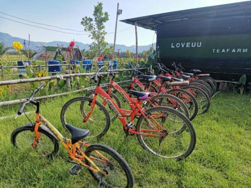 a row of bikes parked next to a fence at Junior Suite Nature of Penang Guesthouse in Balik Pulau