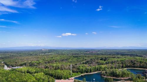 an aerial view of a lake and trees at Hyatt Regency Changbaishan in Fusong