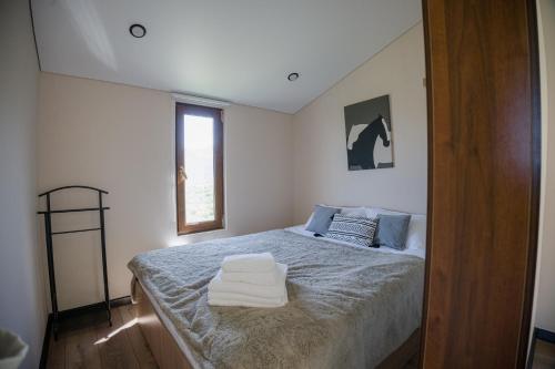 una camera da letto con un letto con asciugamani sopra di Almaty Hills VIP House a Almaty