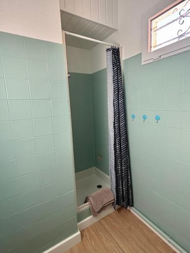 une salle de bain avec une douche avec un rideau de douche dans l'établissement Studio Cosy à 200m de la plage, au Barcarès